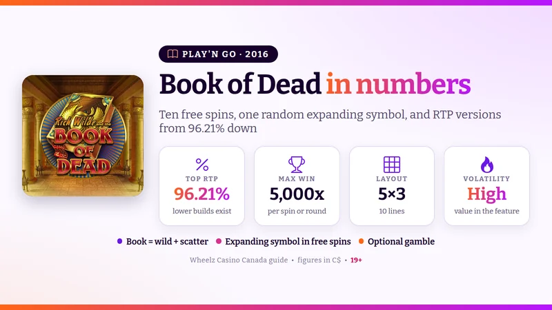 Book of Dead key numbers: RTP, maximum win, paylines and free spins